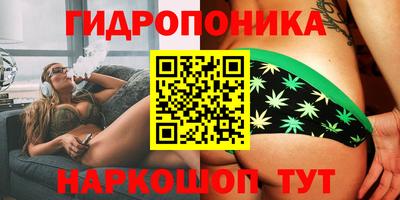 дживик Тверь